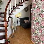 Camelias *