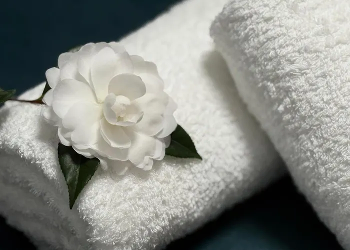 Сasa de vacaciones Camelias Herrera del Duque